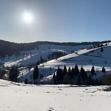 Haus Wiesenquelle, Deluxe-Apartment 'Feld & Berg' Feldberg  Bagian luar foto