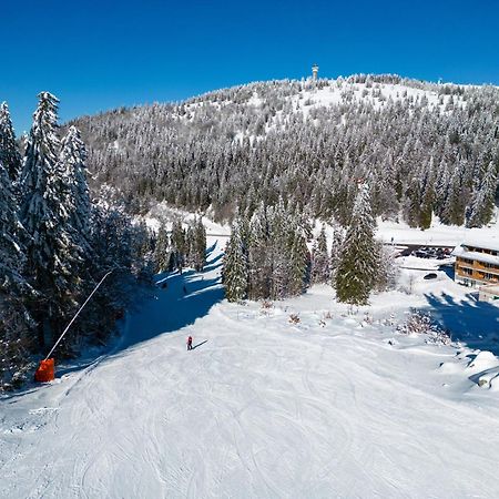 Haus Wiesenquelle, Deluxe-Apartment 'Feld & Berg' Feldberg  Bagian luar foto