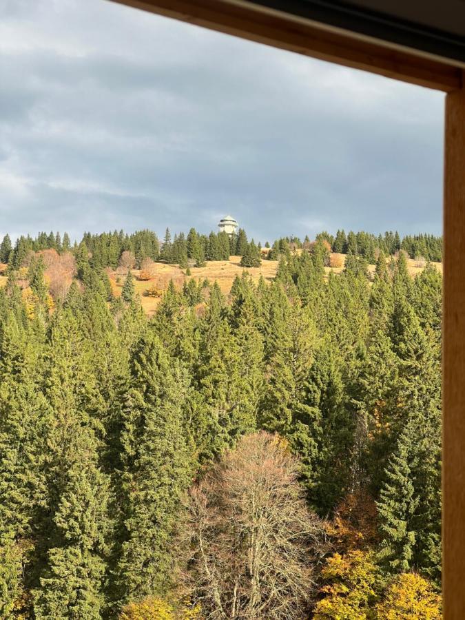 Haus Wiesenquelle, Deluxe-Apartment 'Feld & Berg' Feldberg  Bagian luar foto