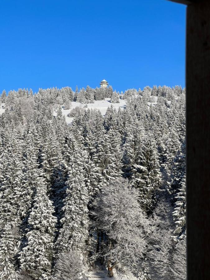 Haus Wiesenquelle, Deluxe-Apartment 'Feld & Berg' Feldberg  Bagian luar foto