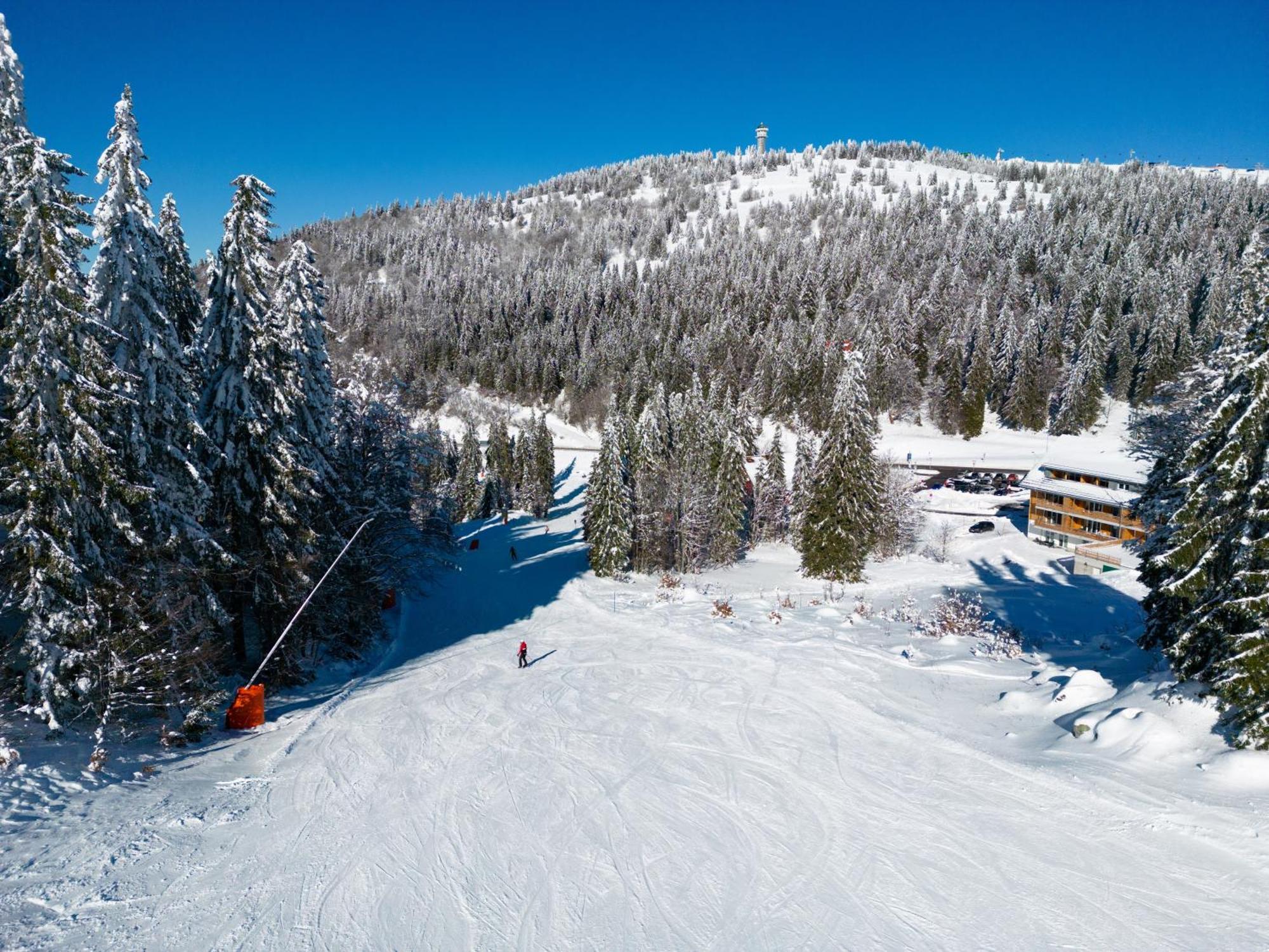 Haus Wiesenquelle, Deluxe-Apartment 'Feld & Berg' Feldberg  Bagian luar foto